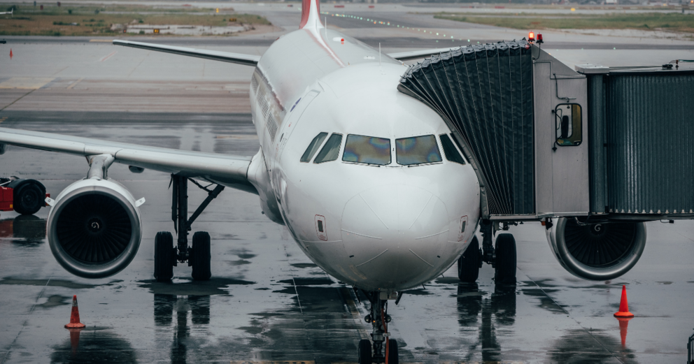 Doing Business 2019: Behind the Numbers – Blueback Global