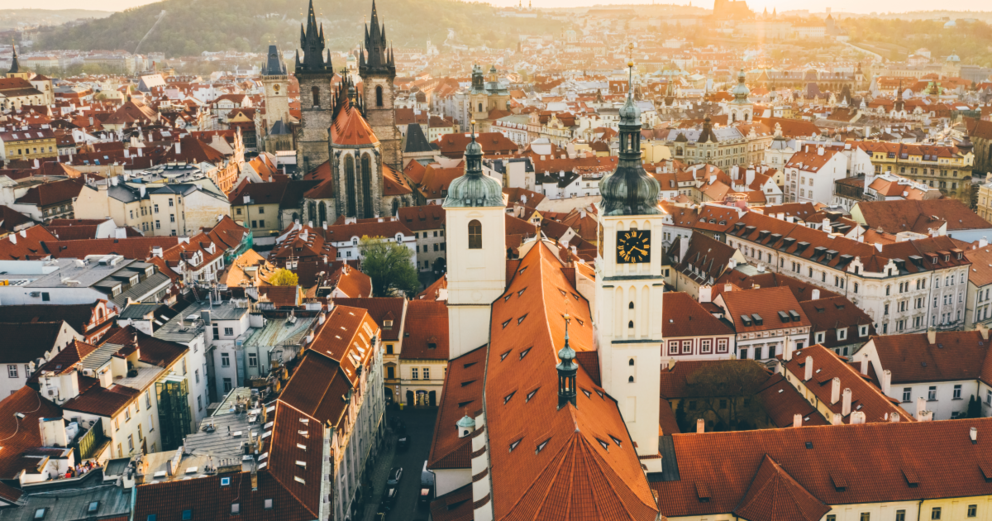 Tips For International Business Travel – Blueback Global