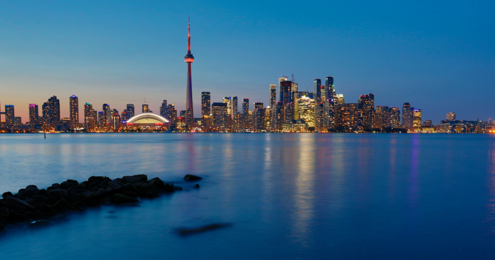 International Payroll (Initial Setup and Ongoing) – Blueback Global