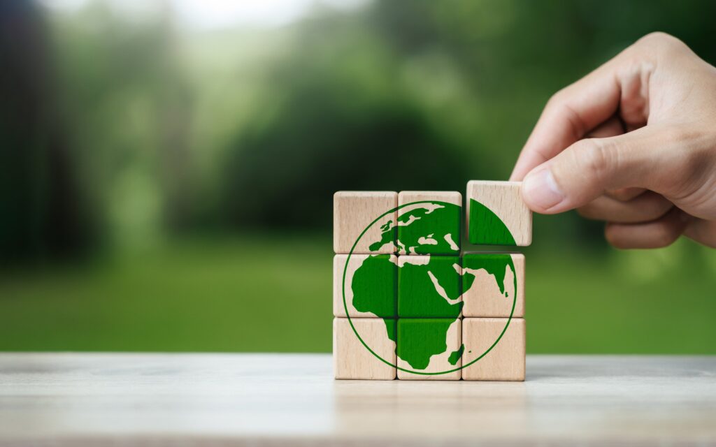 NGO Expansion to Asia: Comparison and Analysis by Country