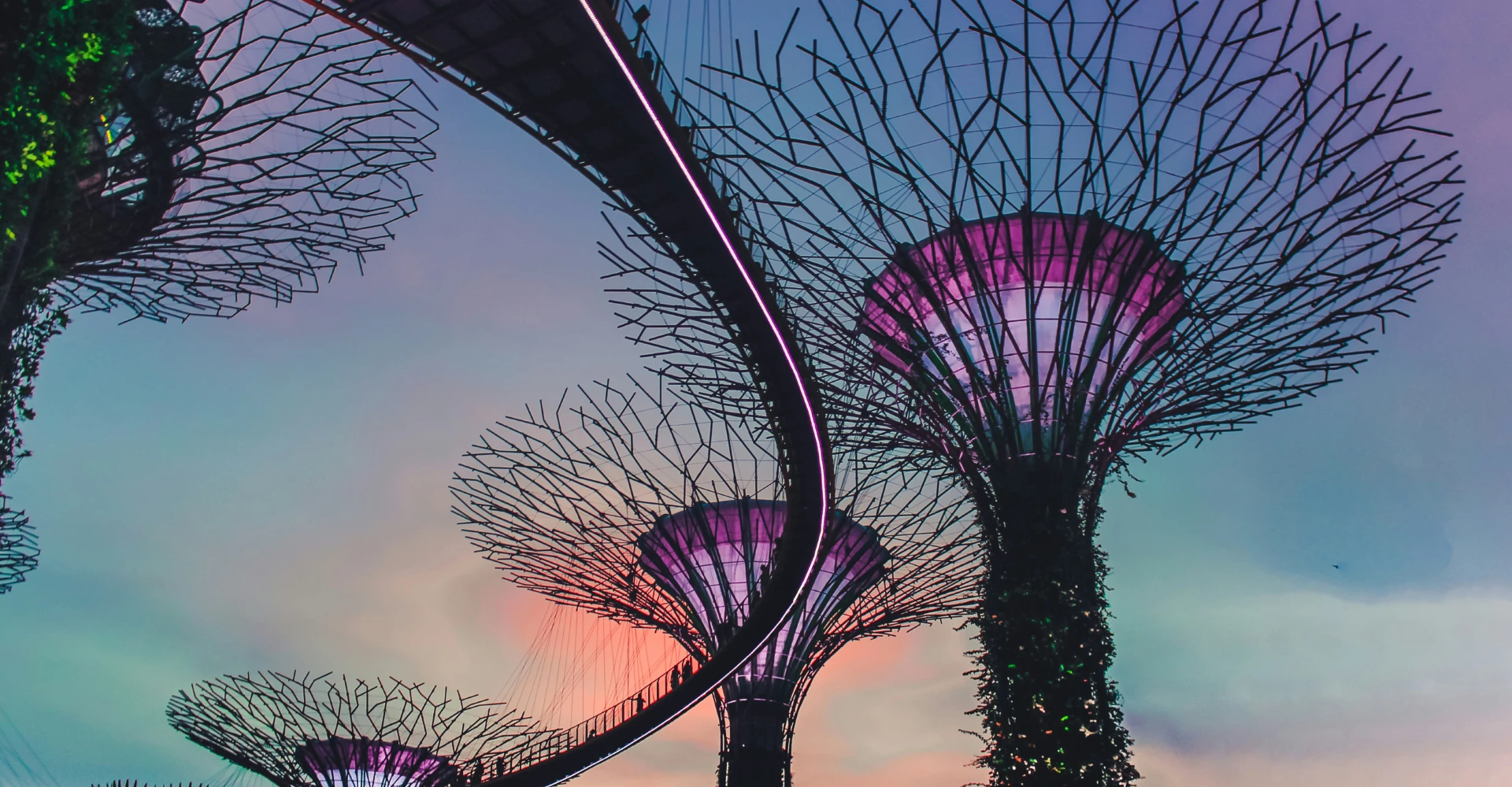 Global skills analysis