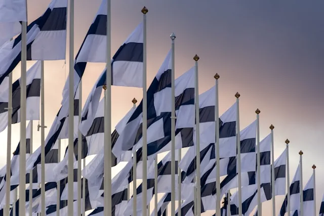 Rows of Finnish national flags flying at dusk, Finland