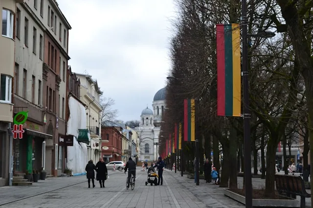Lithuanian flags lining a pedestrian street in Kaunas, Lithuania