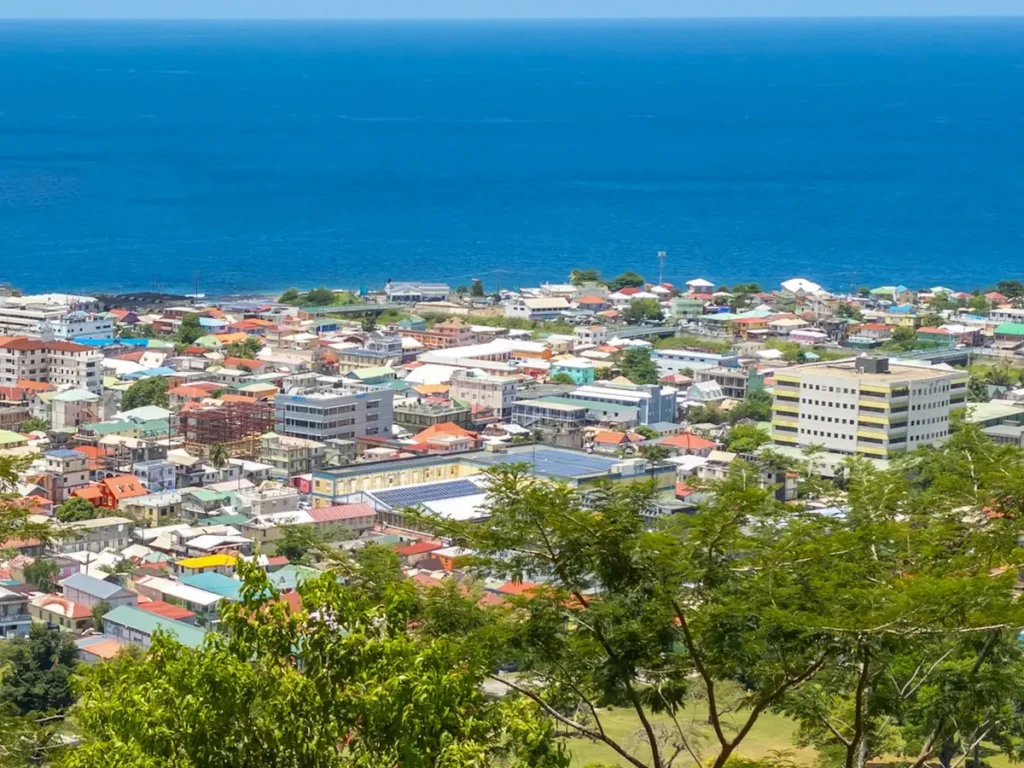 Rooftops of Roseau running down to the Caribbean Sea, framed by trees, Dominica